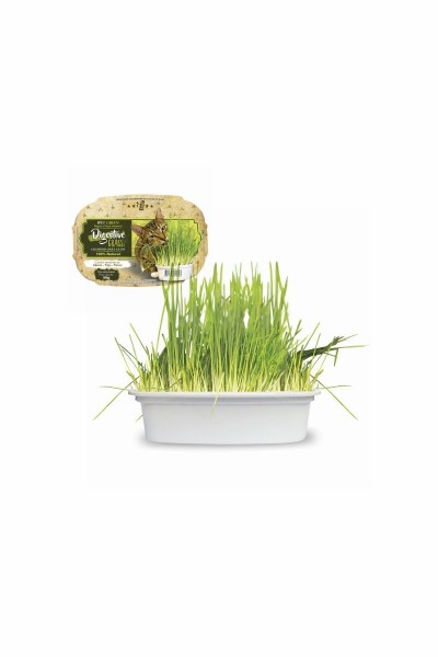 DIGESTIVE GRASS GRAMINHA P/ GATOS (25983)